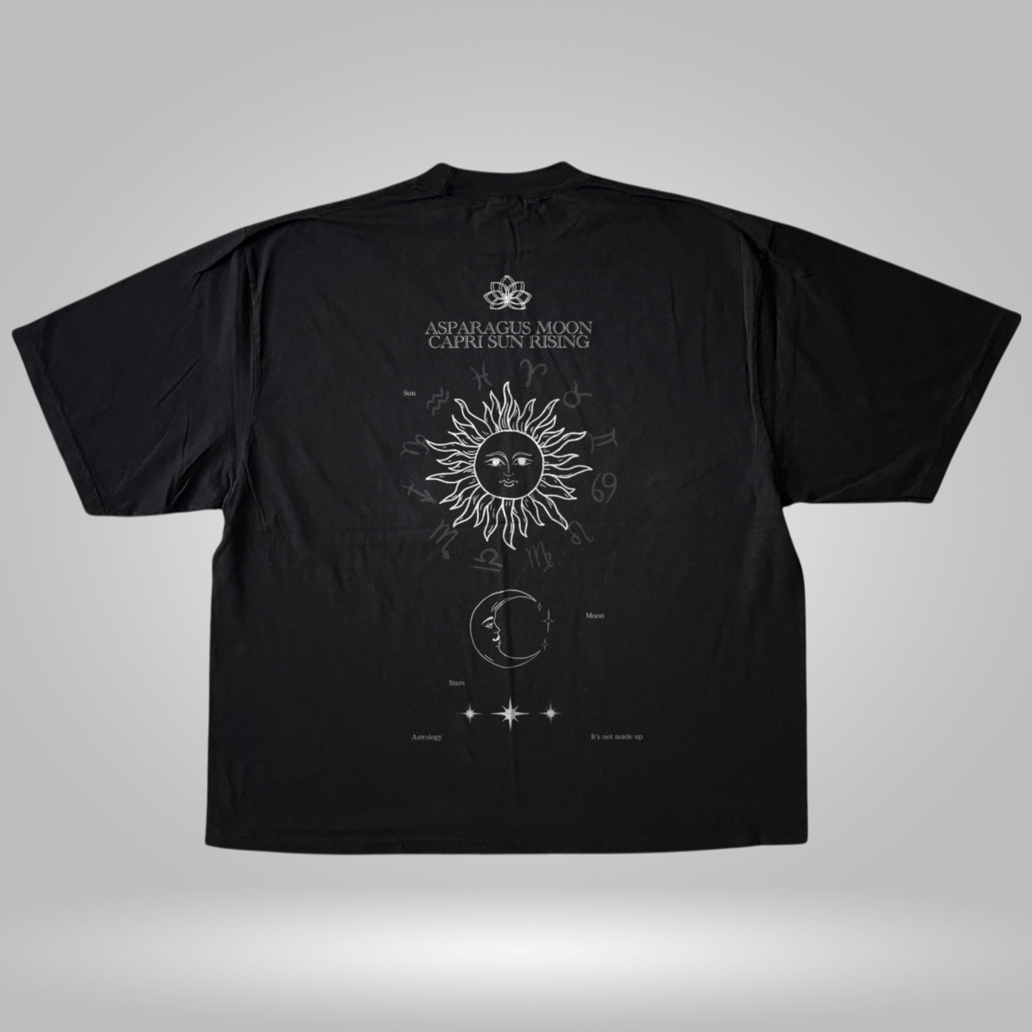 astrology-is-not-made-up-vintage-tee premium tee