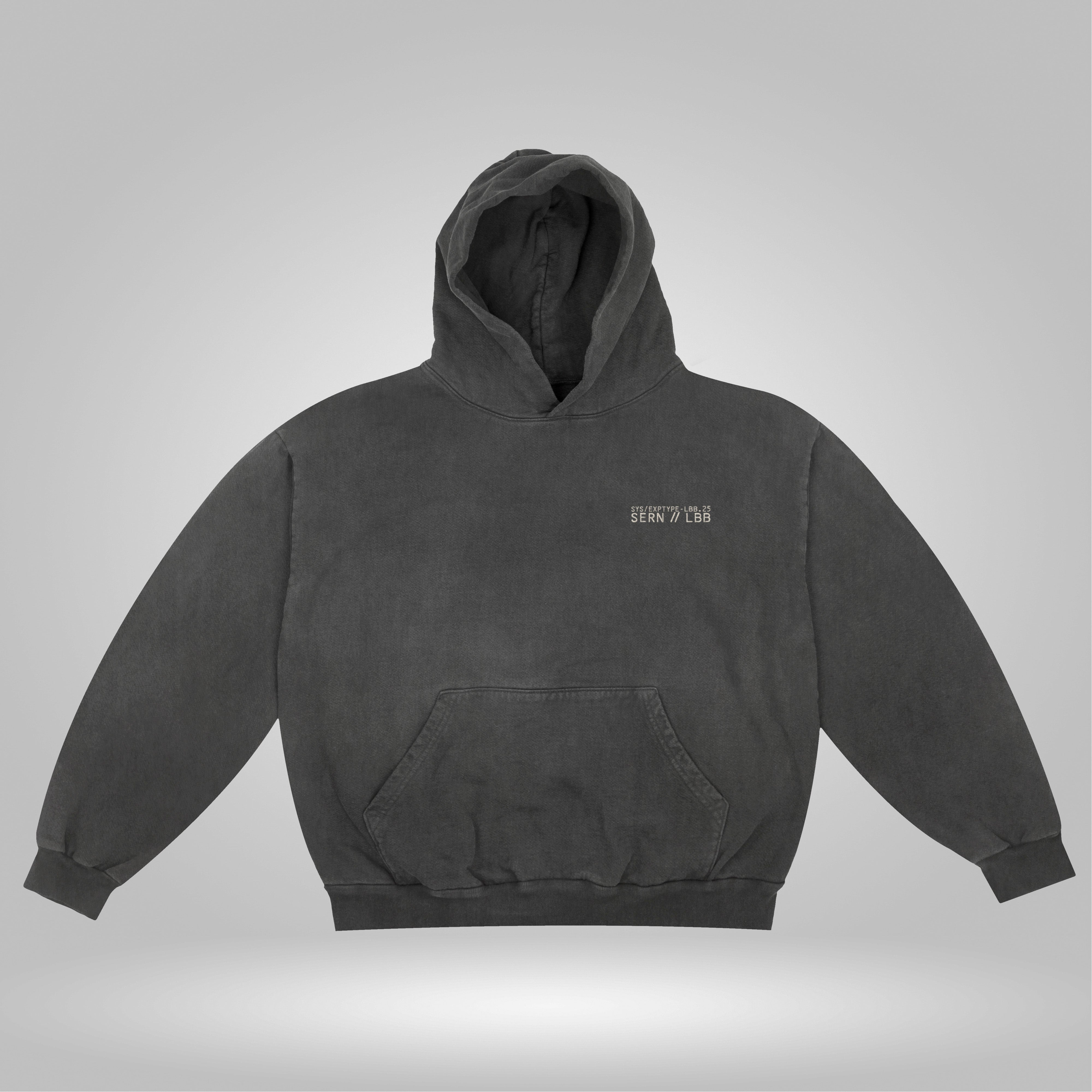 Labobo Signal Fault heavyweight hoodie in pigment-black