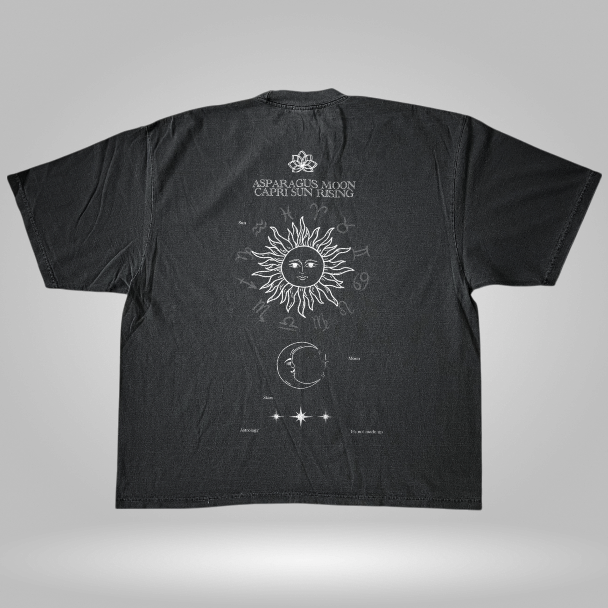 astrology-is-not-made-up-vintage-tee premium tee